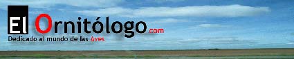 elornitologo.com
