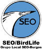 Grupo Local SEO-Burgos