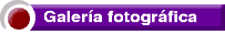 Galer�a fotogr�fica