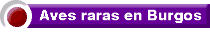 Rarezas