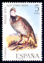Perdiz Roja (Alectoris rufa). 1971