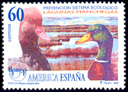 Pato Colorado-nade Azuln (Netta rufina-Anas platyrhynchos). 1995