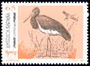 Cigea Negra (Ciconia nigra). 1993