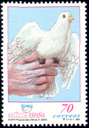 Paloma. 1999