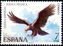 guila Imperial (Aquila heliaca). 1973