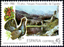 Urogallo Comn (Tetrao urogallus). 1988