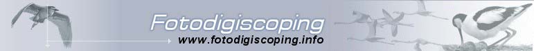 Fotodigiscoping.info
