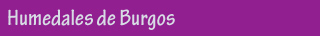 Las aves de Burgos