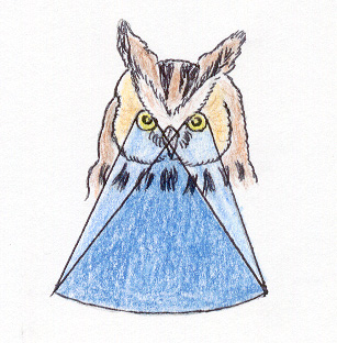rea de visin (aves nocturnas)